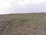 ղո񳤳3